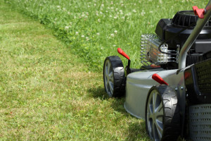 Silver lawn mower in the garden.